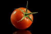 2018-10-02-08-30-48-(C)tomaat19web